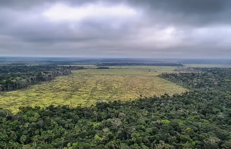 Dados do Inpe mostram redução de alertas na Amazônia e Cerrado entre 2025 e 2026