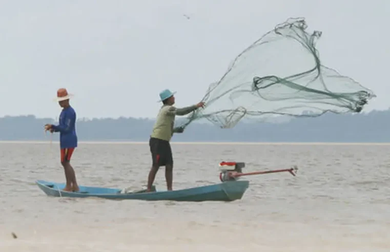Ministério da Pesca divulga lista de pescadores com registros cancelados por irregularidades