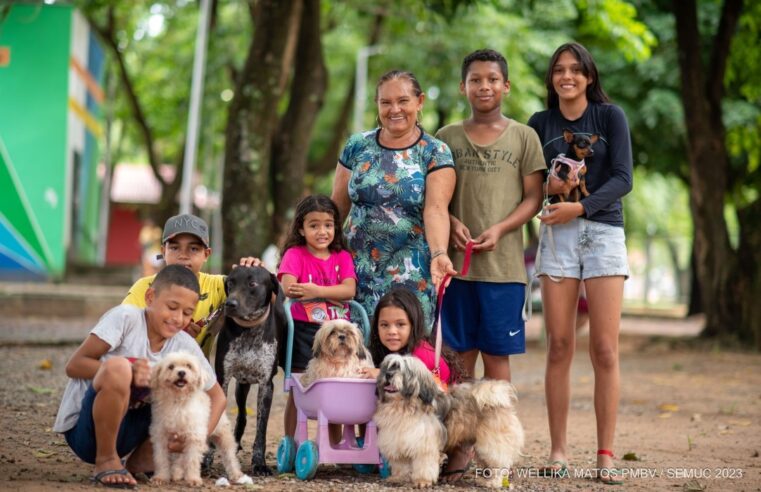 Prefeitura de Boa Vista convoca protetores e ONGs para mapeamento focado em ações animais até o dia 25 de março