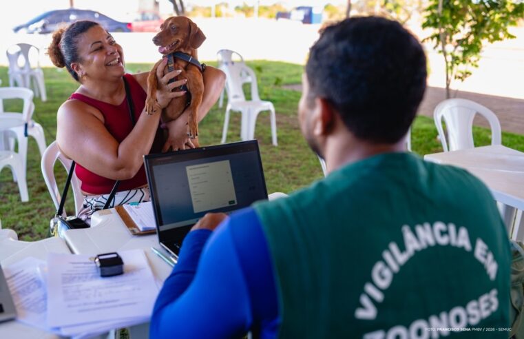 Castra Móvel garante esterilização gratuita e fortalece saúde animal em Boa Vista