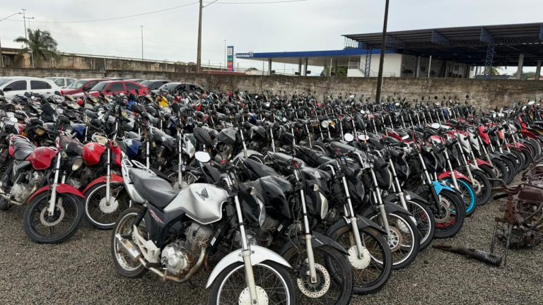 Detran-RR abre leilão online com 230 lotes de veículos