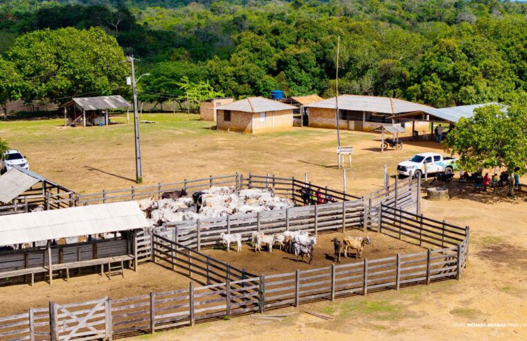 Campanha de imunização inicia em 17 comunidades indígenas de Boa Vista