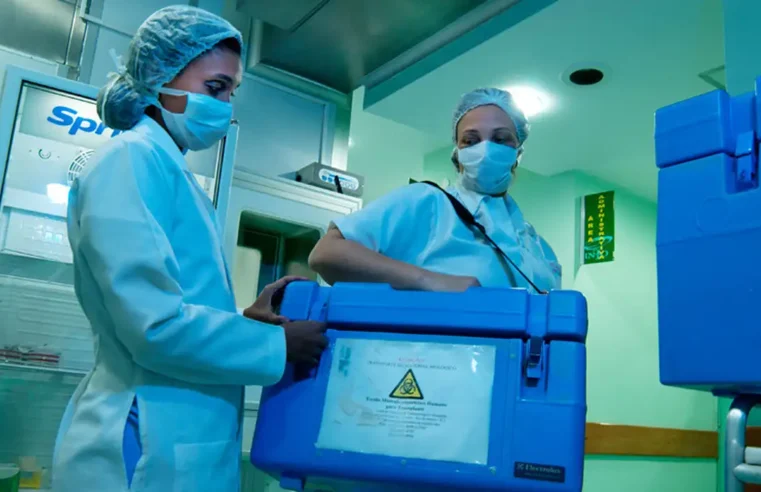 Brasil bate recorde histórico com mais de 31 mil transplantes em 2025