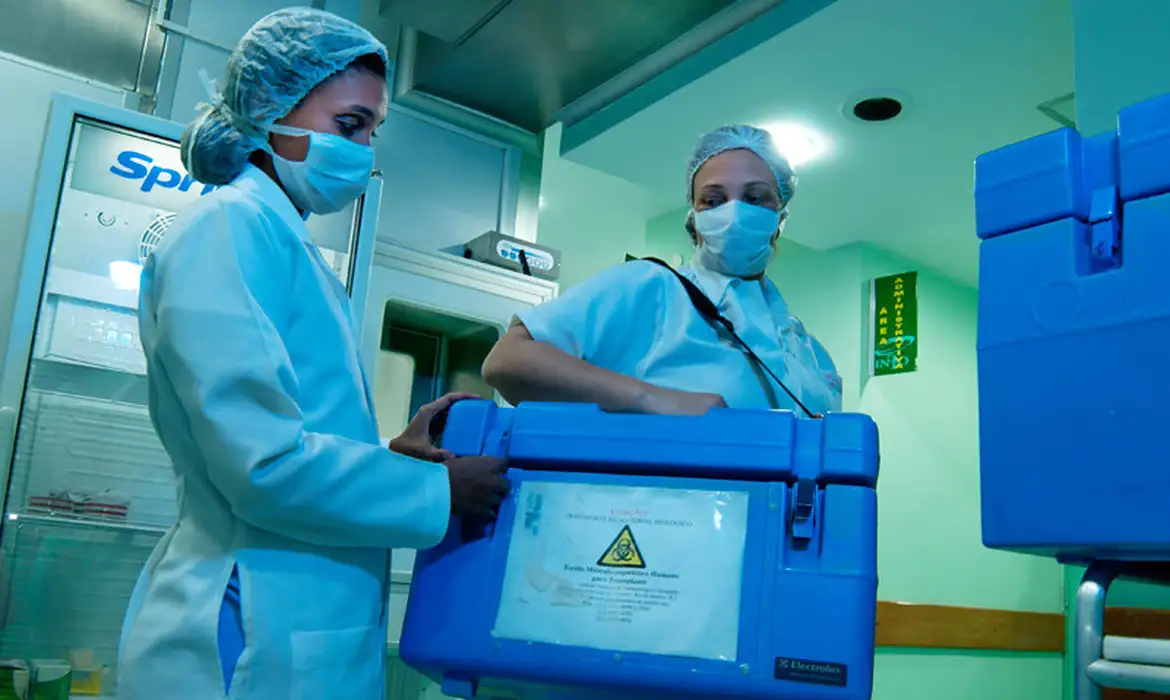Brasil bate recorde histórico com mais de 31 mil transplantes em 2025