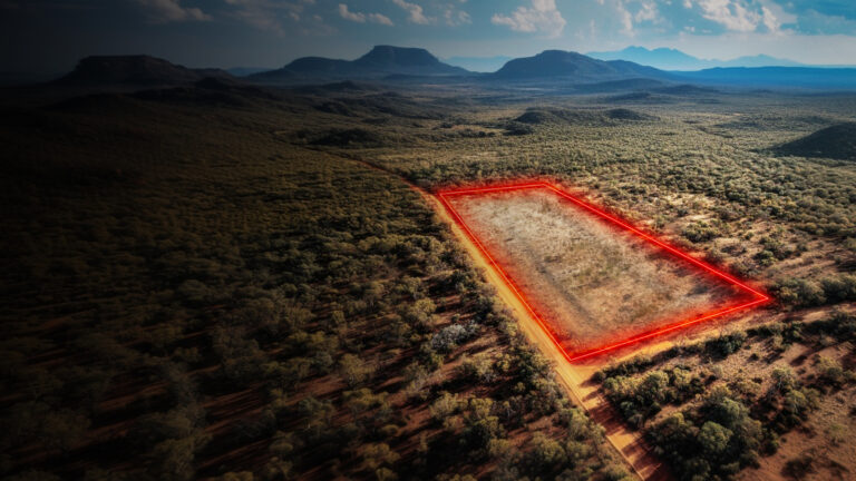 Desmatamento cai 20,6% em 2025, mas Cerrado segue mais afetado