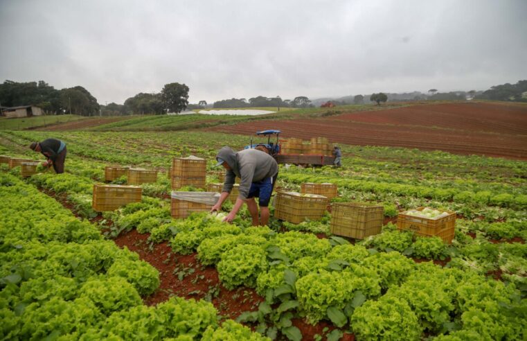 Receita adia para janeiro de 2027 obrigatoriedade de CNPJ para autônomos, prestadores e produtores rurais