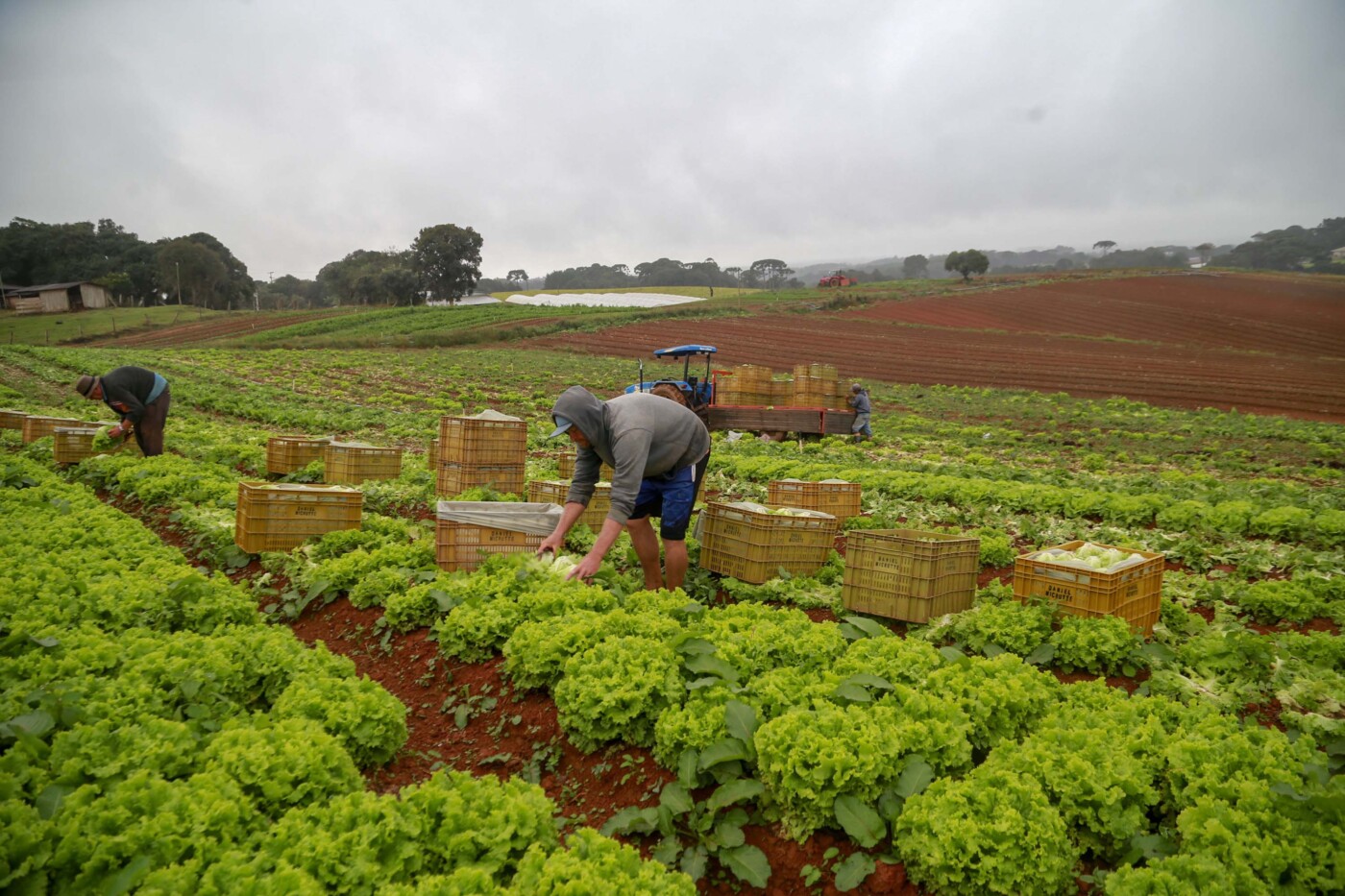 Receita adia para janeiro de 2027 obrigatoriedade de CNPJ para autônomos, prestadores e produtores rurais