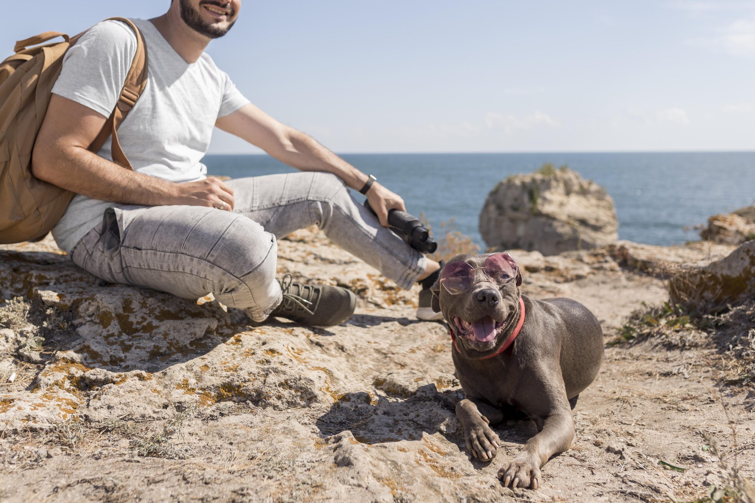 Mapeamento inédito vai orientar mercado e viajantes do turismo pet friendly